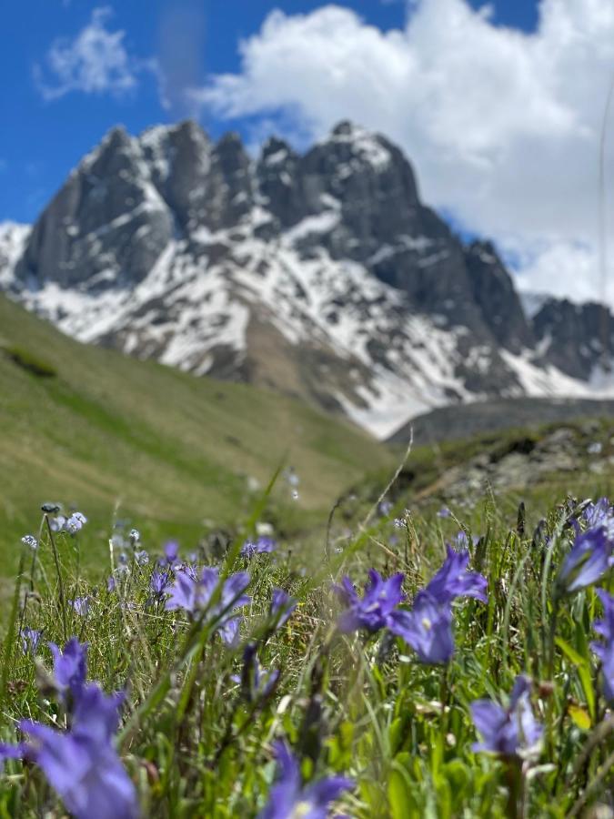Aura Cottages Kazbegi Dış mekan fotoğraf