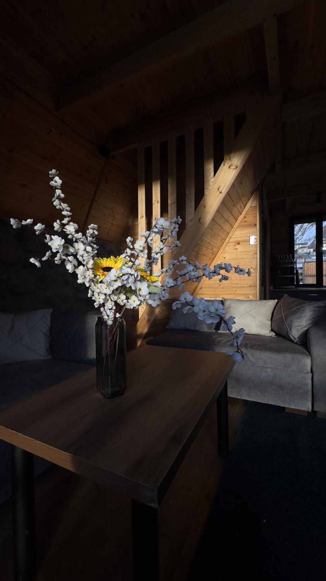 Aura Cottages Kazbegi Dış mekan fotoğraf